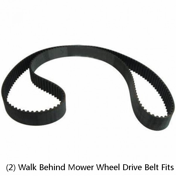 (2) Walk Behind Mower Wheel Drive Belt Fits Scag 36