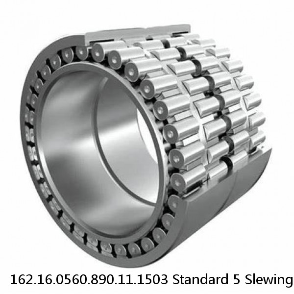 162.16.0560.890.11.1503 Standard 5 Slewing Ring Bearings #1 small image