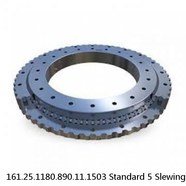 161.25.1180.890.11.1503 Standard 5 Slewing Ring Bearings #1 small image