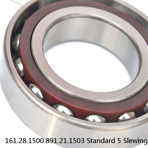 161.28.1500.891.21.1503 Standard 5 Slewing Ring Bearings #1 small image