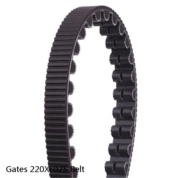 Gates 220XL025 Belt #1 small image