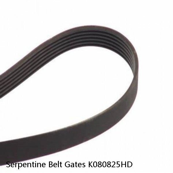 Serpentine Belt Gates K080825HD #1 small image