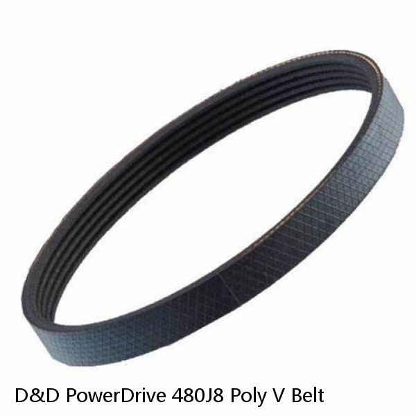 D&D PowerDrive 480J8 Poly V Belt #1 small image