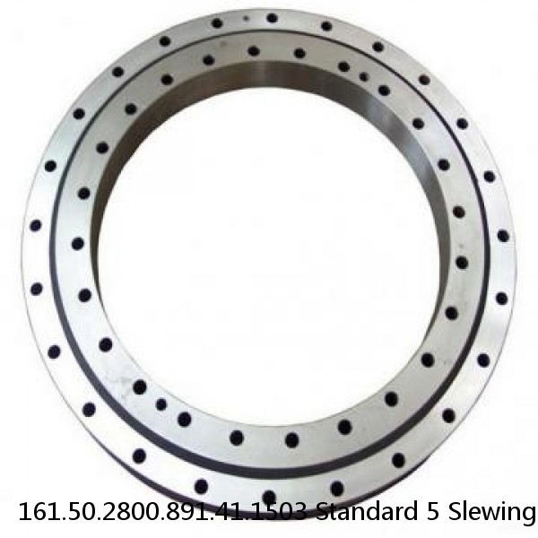 161.50.2800.891.41.1503 Standard 5 Slewing Ring Bearings #1 image