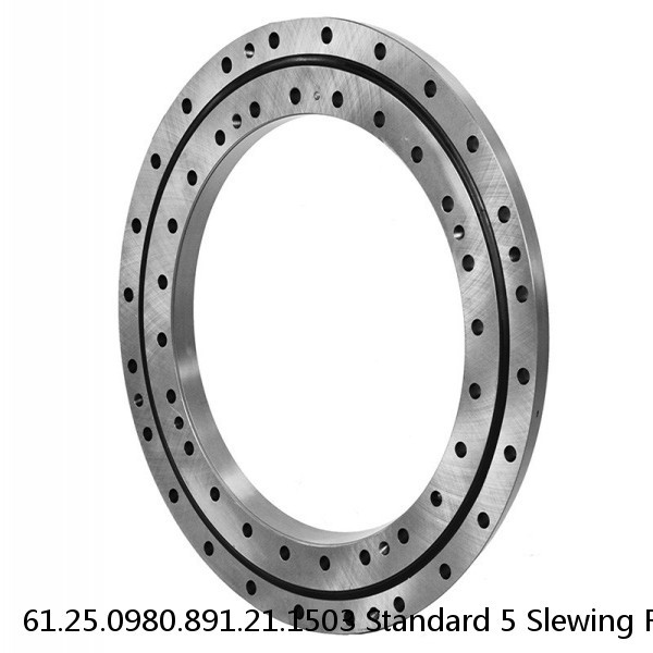 61.25.0980.891.21.1503 Standard 5 Slewing Ring Bearings #1 image