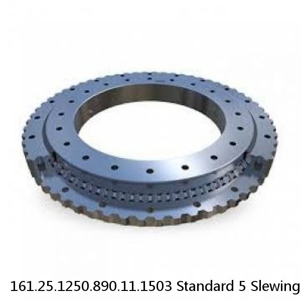 161.25.1250.890.11.1503 Standard 5 Slewing Ring Bearings #1 image