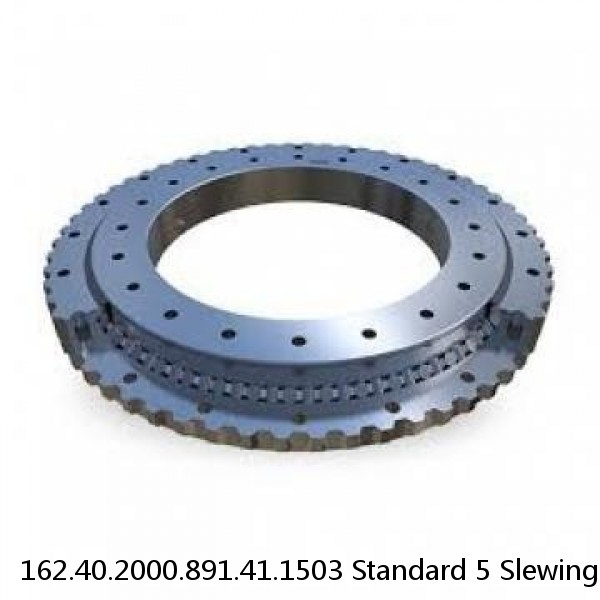 162.40.2000.891.41.1503 Standard 5 Slewing Ring Bearings #1 image