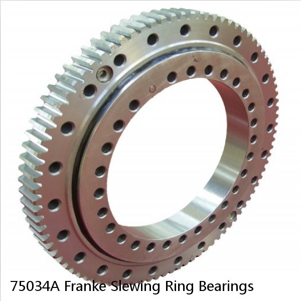 75034A Franke Slewing Ring Bearings #1 image