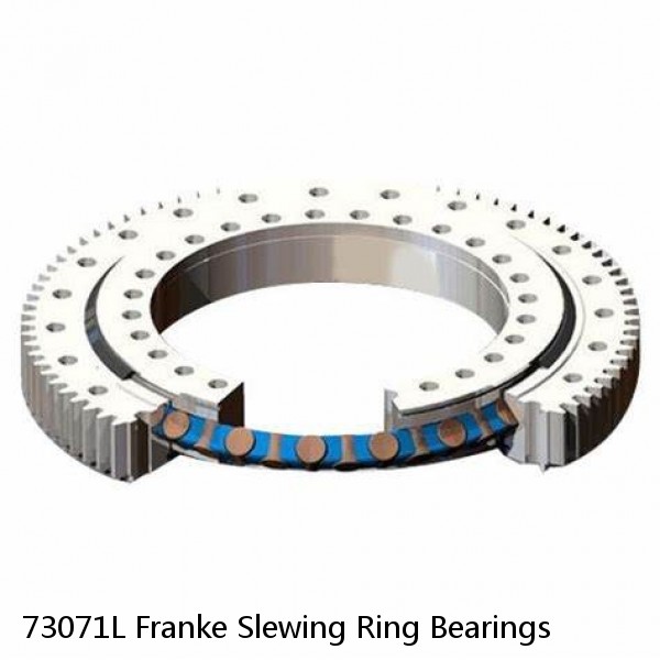 73071L Franke Slewing Ring Bearings #1 image